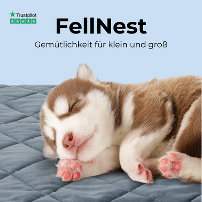 FellNest